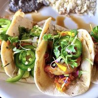 Dragon roll tacos   at Casa Del Vegano in Dallas