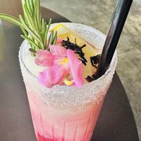 Hibiscus margarita   at Casa Del Vegano in Dallas