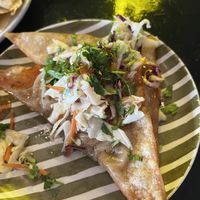 The wonton taco was creative and delicious   at Casa Del Vegano in Dallas