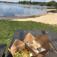 Summer rolls and red curry udon with tofu  at Ahan in Madison