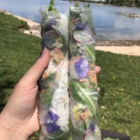 Summer rolls  at Ahan in Madison
