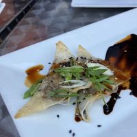 Potstickers up calose  at Rock da Casbah in Saugerties