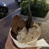 Chocolate mousse and cookies and cream (both oat base) at Main Street Creamery in Sarasota