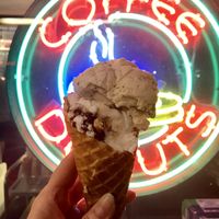 about 10 vegan flavors on offer at Larry's Ice Cream & Gelatos in St Pete Beach