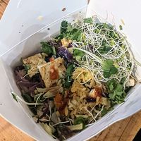 Fried rice with tofu at The Blue Owl in Santa Barbara