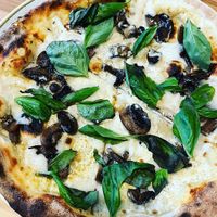 Fungi   at Chutnej in Prague