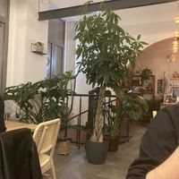   at Chutnej in Prague