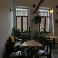 nice atmosphere  at Chutnej in Prague