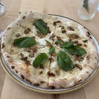 Pizza "bianca" with a lentil base, mushrooms and basil  at Chutnej in Prague
