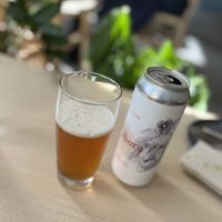 good beer  at Chutnej in Prague