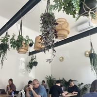   at Chutnej in Prague