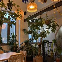 Cozy vibe   at Chutnej in Prague