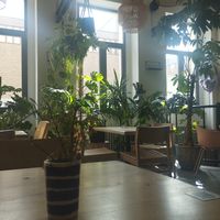 Interior at Chutnej in Prague