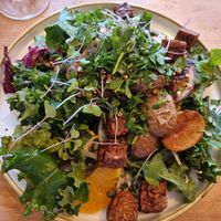 Grünkohlsalat mit Lupinen Temphe und gebratenen Kartoffeln at Chutnej in Prague