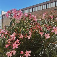   at Chutnej in Prague