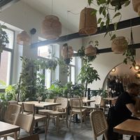 Love the plants all over the room.😄 at Chutnej in Prague