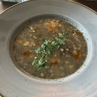 Soup (potatoes & mushrooms)  at Chutnej in Prague