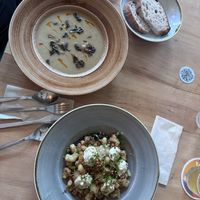 Asparagus soup and gnocchi   at Chutnej in Prague