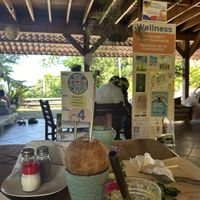   at AmaSer in Puerto Viejo De Talamanca