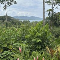   at AmaSer in Puerto Viejo De Talamanca