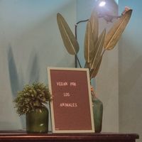  at El Vegan in Santiago