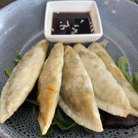   at The Red Plate in Airlie Beach