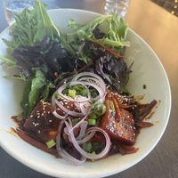   at The Red Plate in Airlie Beach