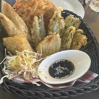   at The Red Plate in Airlie Beach