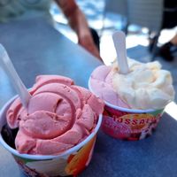 Chocolate and strawberry and lemon and passionfruit and other fruits at Het Droomijsje in Breskens