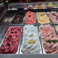 The 6 flavours on left were said to be vegan (sorbet) at Het Droomijsje in Breskens