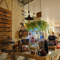  at Rota das Cores in Aveiro