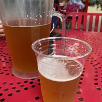 Pitcher of Lost Coast Tangerine Wheat at Pizza My Heart in Santa Cruz
