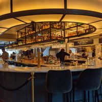 Bat at Rosetta Hall in Boulder