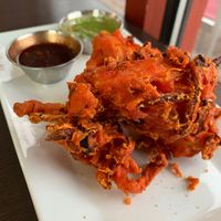 Veggie pakora  at Bombay Nights in Perry Hall