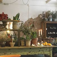  at Il Tavolo Verde in Madrid