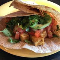 Southwest wrap made vegan  at Cafe Yumm - Gateway in Springfield