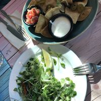 Finger foods - salad and nachos with dips (already half eaten)   at Junk y Vegan in Helsinki