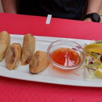 Spring rolls with vegetables at Ristta Thai Food in Tenerife