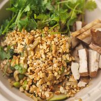 Satay noodle bowl with tofu at Communitea Cafe in Canmore