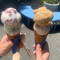 Mint Choc, Vanilla Berry, Pecan Caramell & Peanut Butter Chocolate Chip in a vegan, glutenfree waffle at Sea People Ice Cream in Mount Maunganui