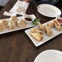 Pot sticker dumplings and spring rolls at Tofu Vegan - Islington in North London