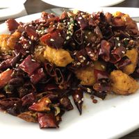 Super spicy  at Tofu Vegan - Islington in North London