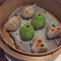 selection fo dumplings to share at Tofu Vegan - Islington in North London