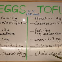 Yup that's it Tofu scramble nor scrambelled eggs! at Tofu Vegan - Islington in North London