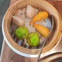 Dim sum selection at Tofu Vegan - Islington in North London