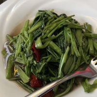   at Tofu Vegan - Islington in North London