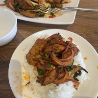 Stir-fried “Lamm” with cumin and chilli  at Tofu Vegan - Islington in North London
