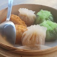 Dim sum at Tofu Vegan - Islington in North London