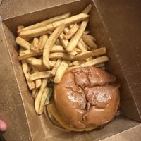 Chicken sandwich and friess  at Wizard Burger in Albany