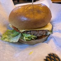 Burger 😋   at Wizard Burger in Albany